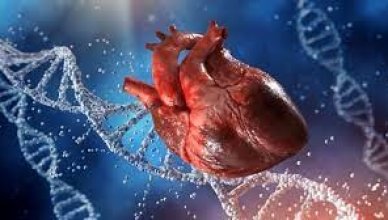 Цикл «Генетика в детской кардиологии»